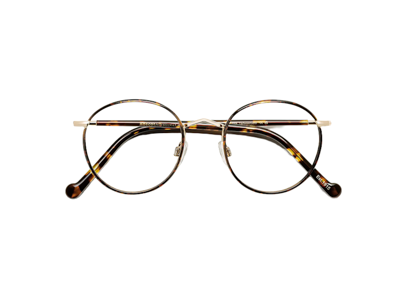 Moscot | Zev